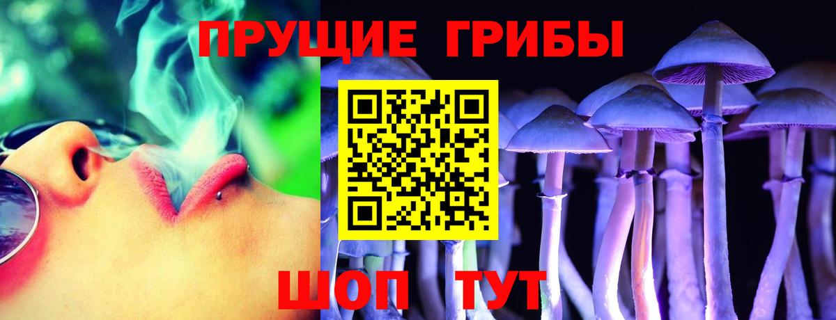 Псилоцибиновые грибы прущие грибы Брянск